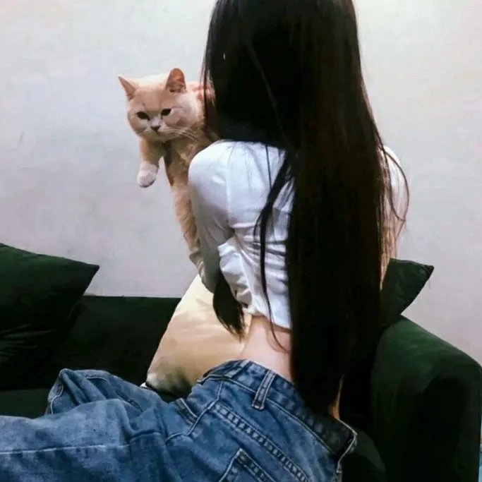 奥奇传说 在线观看